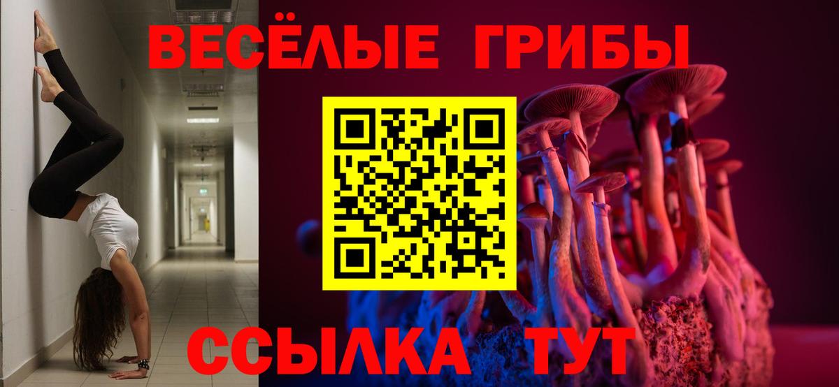 Псилоцибиновые грибы GOLDEN TEACHER Богородицк